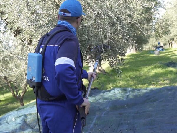 Rete per la raccolta delle olive targata Campagnola, made in italy